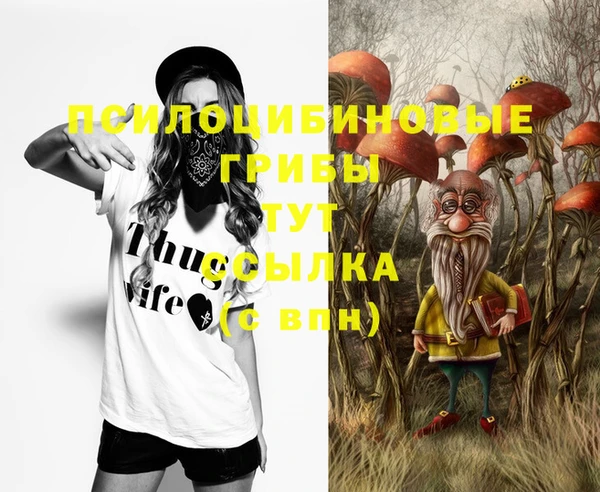 винт Аркадак