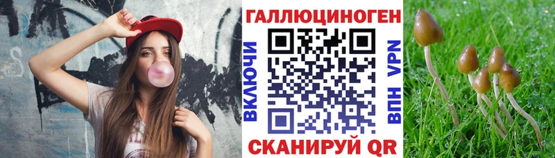 Галлюциногенные грибы Psilocybine cubensis  Купить закладки  Нефтегорск 